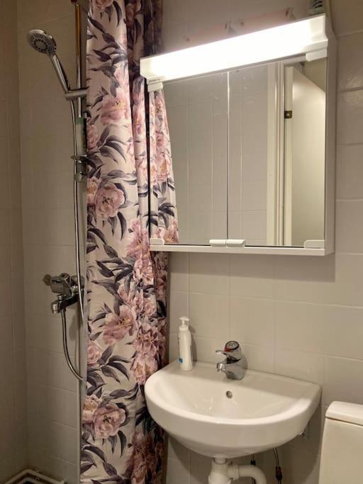 Ferienwohnung Viehaettaevae Asunto Heinolan Keskustassa Exterior foto